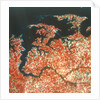 Earth from Space by NASA