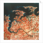Earth from Space by NASA