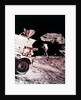 Astronaut with Lunar Roving Vehicle on the Moon, 1970s by NASA