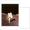 Harrison Schmitt collects lunar rake samples, Apollo 17 mission, December 1972 by NASA