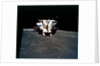 Lunar Module above the Moon, Apollo 16 mission, April 1972 by Thomas Mattingly