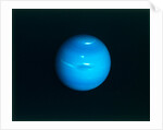 Neptune from Voyager 2 spacecraft, c1980s by NASA