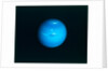Neptune from Voyager 2 spacecraft, c1980s by NASA