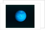 Neptune from Voyager 2 spacecraft, c1980s by NASA