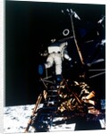 Buzz Aldrin descends from the Lunar Module, Apollo II mission, July 1969 by Neil Armstrong