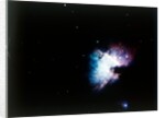 The Orion Nebula by NASA