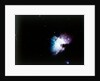 The Orion Nebula by NASA