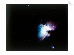 The Orion Nebula by NASA