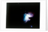The Orion Nebula by NASA