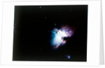 The Orion Nebula by NASA