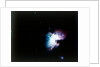 The Orion Nebula by NASA