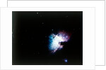 The Orion Nebula by NASA