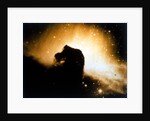 Horsehead Nebula in Orion by NASA