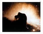 Horsehead Nebula in Orion by NASA