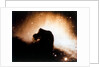 Horsehead Nebula in Orion by NASA