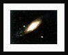 Great Andromeda Galaxy by NASA