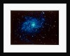Spiral galaxy in Triangulum constellation by NASA