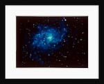 Spiral galaxy in Triangulum constellation by NASA