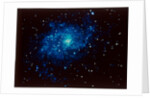Spiral galaxy in Triangulum constellation by NASA