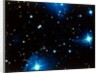 Open star cluster, the Pleiades in Taurus by NASA