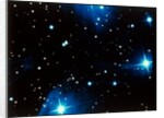 Open star cluster, the Pleiades in Taurus by NASA