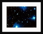 Open star cluster, the Pleiades in Taurus by NASA