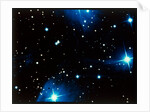Open star cluster, the Pleiades in Taurus by NASA