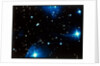 Open star cluster, the Pleiades in Taurus by NASA