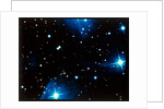 Open star cluster, the Pleiades in Taurus by NASA