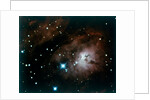 Lagoon Nebula in Sagittarius constellation by NASA