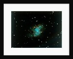 Crab Nebula in the constallation of Taurus by NASA