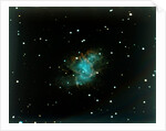Crab Nebula in the constallation of Taurus by NASA