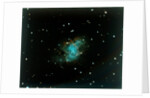 Crab Nebula in the constallation of Taurus by NASA