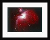The Orion Nebula by NASA
