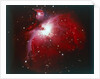 The Orion Nebula by NASA