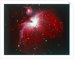 The Orion Nebula by NASA