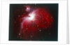 The Orion Nebula by NASA