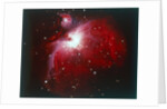 The Orion Nebula by NASA