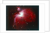 The Orion Nebula by NASA