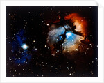 Trifid Nebula in Sagittarius constellation by NASA