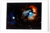 Trifid Nebula in Sagittarius constellation by NASA