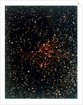 Nebula in Cygnus by NASA