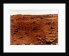 First colour photograph of the Martian planet surface, Viking 1 Mission to Mars, 1976 by NASA