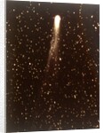 Halley's Comet, 1910 by George Willis Ritchey