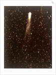 Halley's Comet, 1910 by George Willis Ritchey