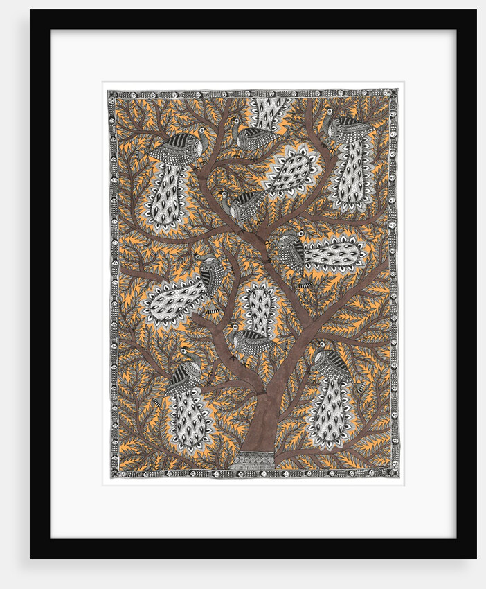 Peacocks in Tree by Anil