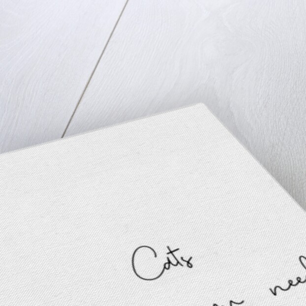 Cats are all you need by Joumari