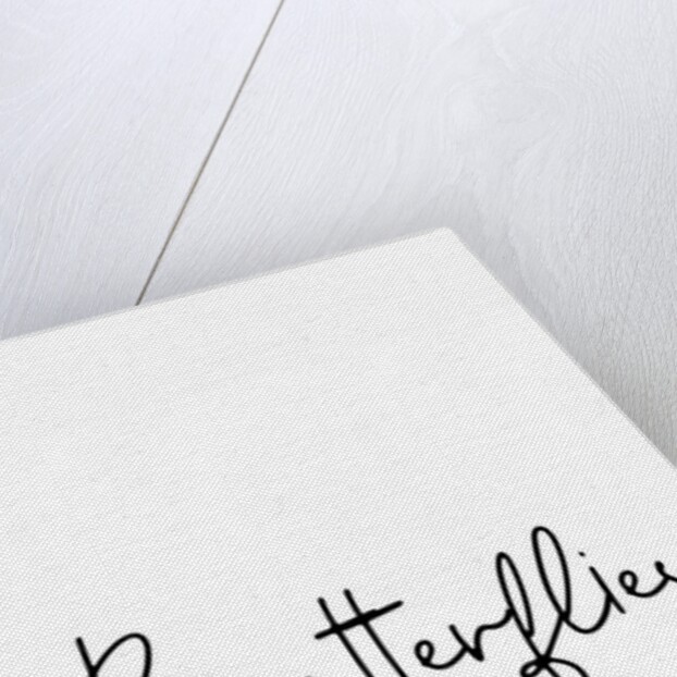 Butterflies by Joumari