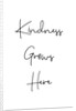 Kindness grows here by Joumari
