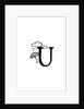 U by Joumari